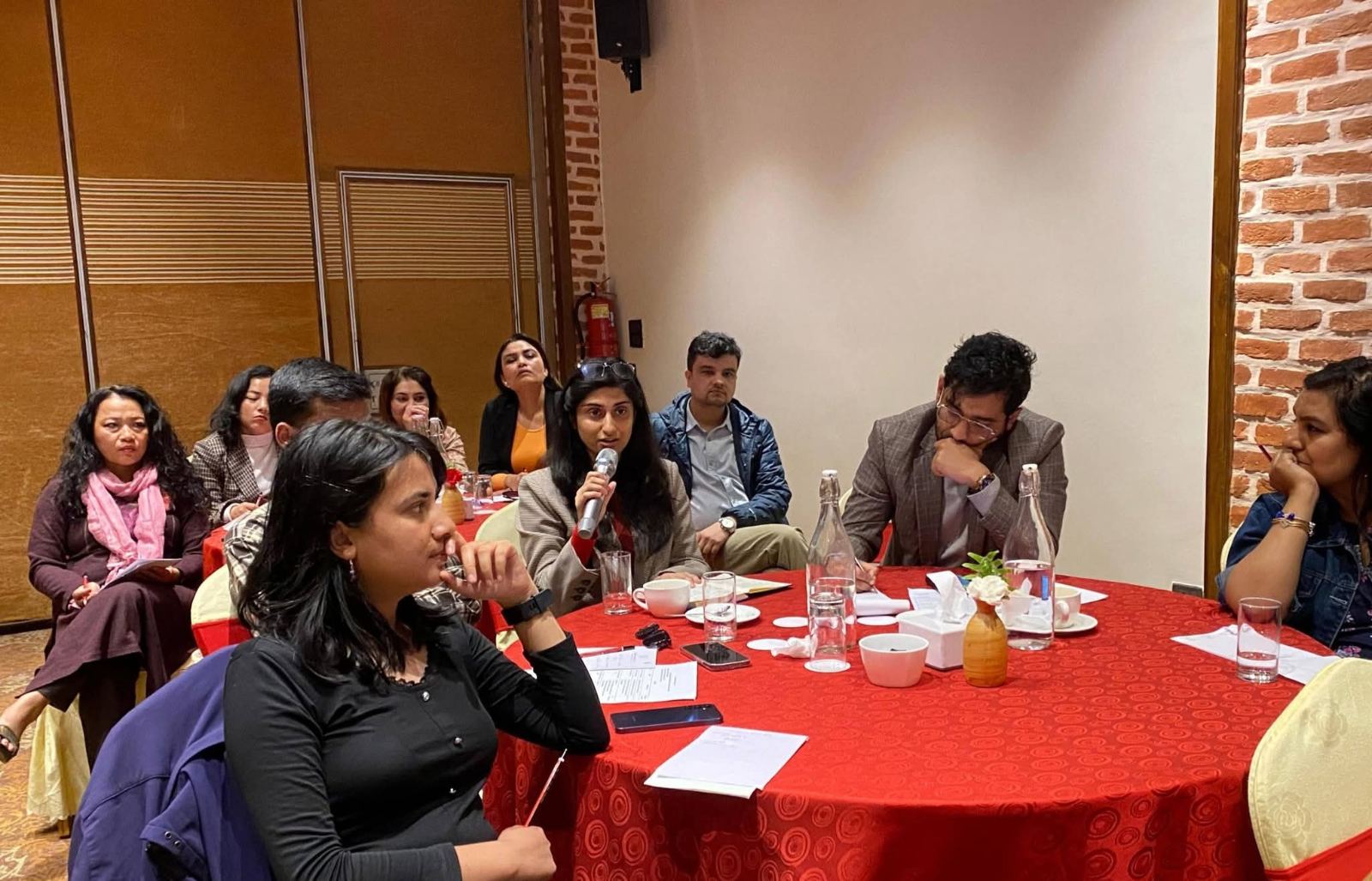 Use and Impact of Digital Space during the House of Representatives Election of Nepal